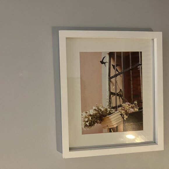 Set of Indigo Frames with Original Photographs - Picture 4 of 4